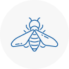 Bee Nest Removal Kenilworth