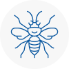 Kenilworth Hornet Nest Removals
