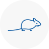 Mice Exterminators In Kenilworth