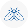 Moth Control Specialists In Kenilworth