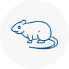 Rat Control Kenilworth