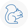 Kenilworth Rodent Removals