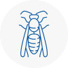 Kenilworth Wasp Nest Removal